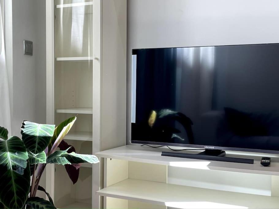 Taima Flats 1 Διαμέρισμα Αλικάντε Εξωτερικό φωτογραφία